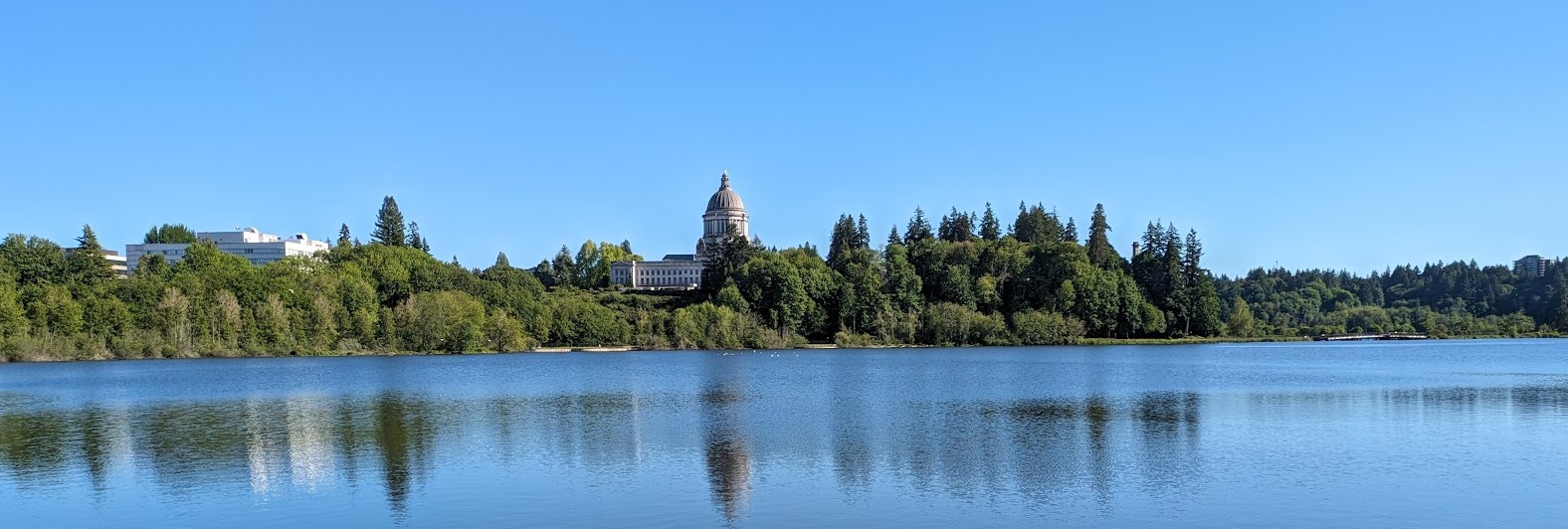 Olympia Washington skyline - serving all of Thurston County